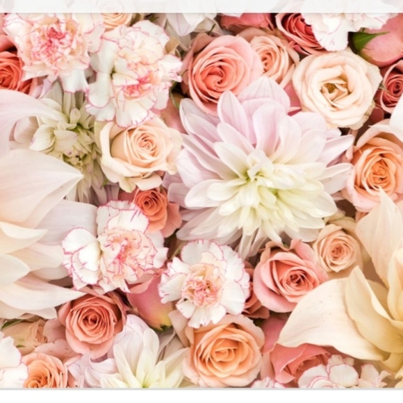 Meet your Posher, Claudia - Picture 2 of 2